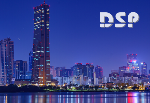 디에스피엔지니어링